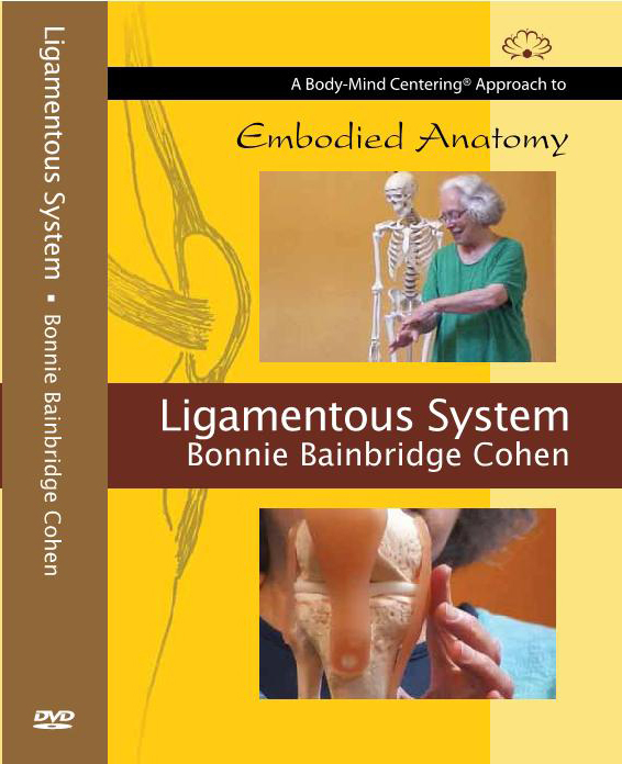 Embodied Anatomy and the Ligamentous System