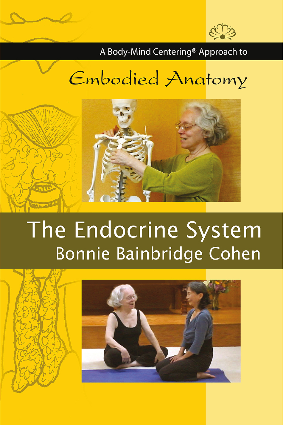 The Endocrine System - Body-Mind Centering®