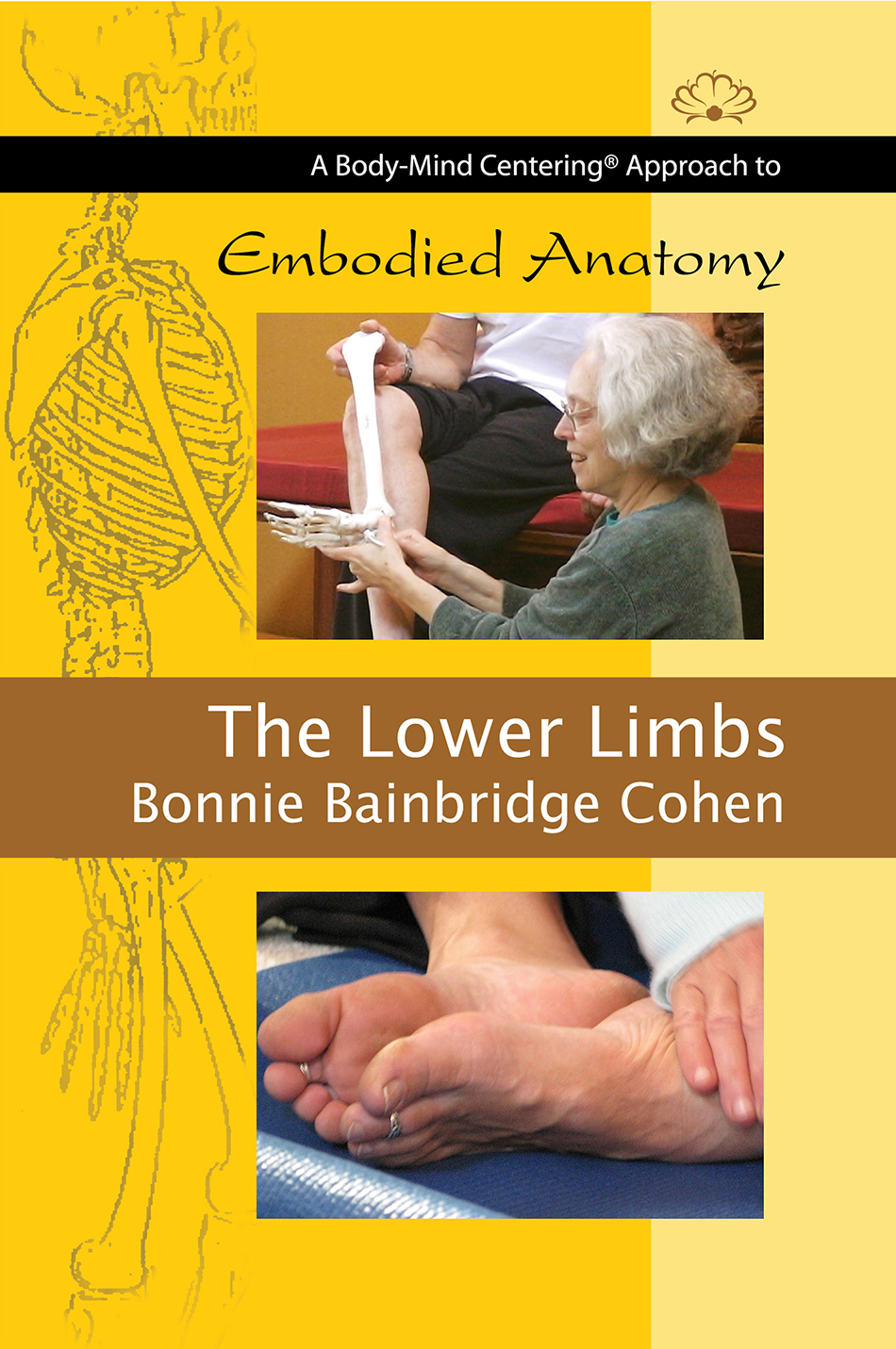 The Lower Limbs - Body-Mind Centering®