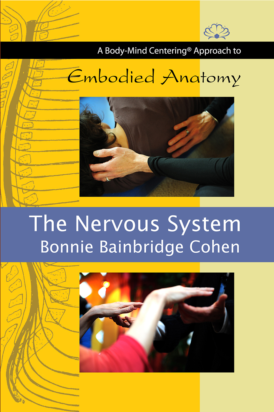 The Nervous System - Body-Mind Centering®