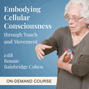 Embodying Cellular Consciousness through Touch and Movement