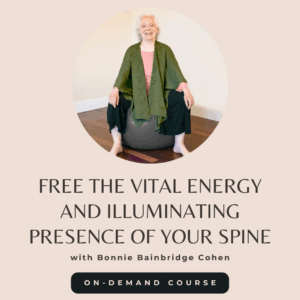 Free the Vital Energy and Illuminating Presence of Your Spine: Explorations in Movement and Cellular Consciousness (2020 Fall Series)