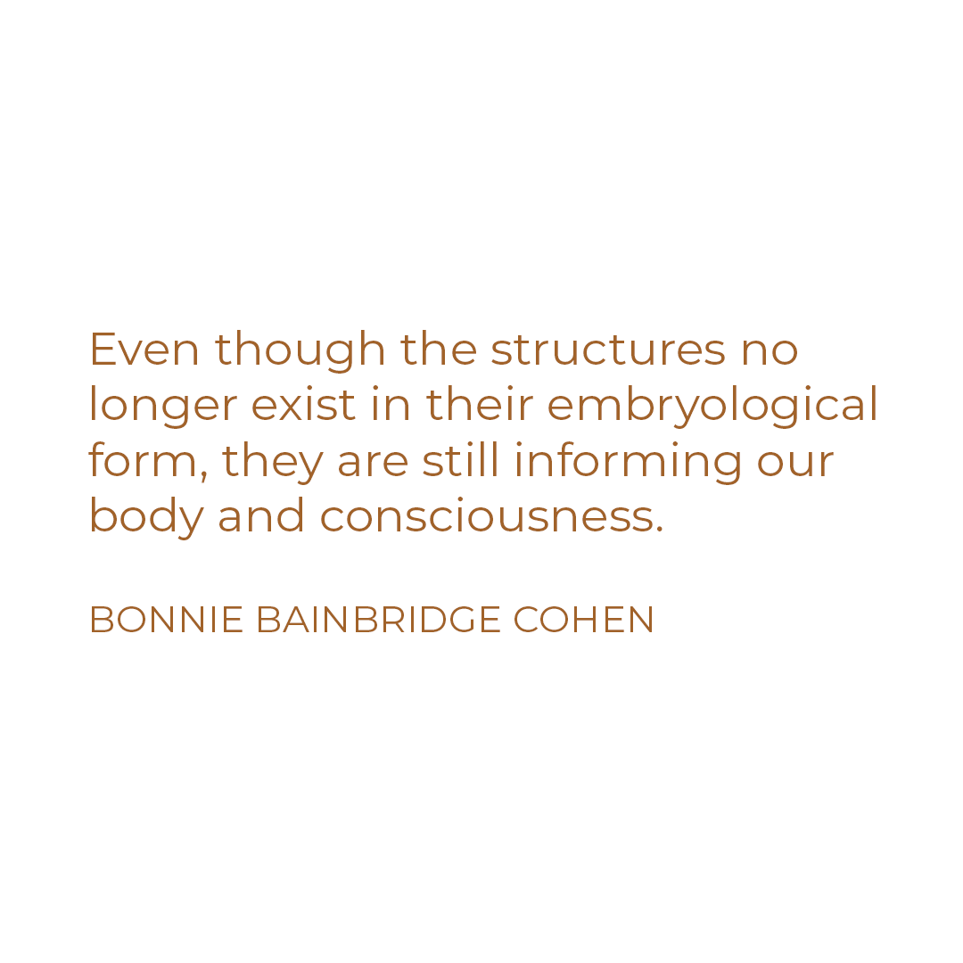 Better Balance through Embodying Embryological Structures