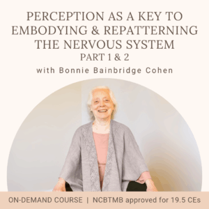 Perception as a Key to Embodying Repatterning the Nervous System Part 1 and 2 (2023 Spring Series and The Role of the Brain)