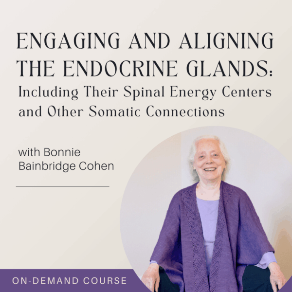 Engaging and Aligning the Endocrine Glands: Including Their Spinal Energy Centers and Other Somatic Connections (2025 Winter Series)